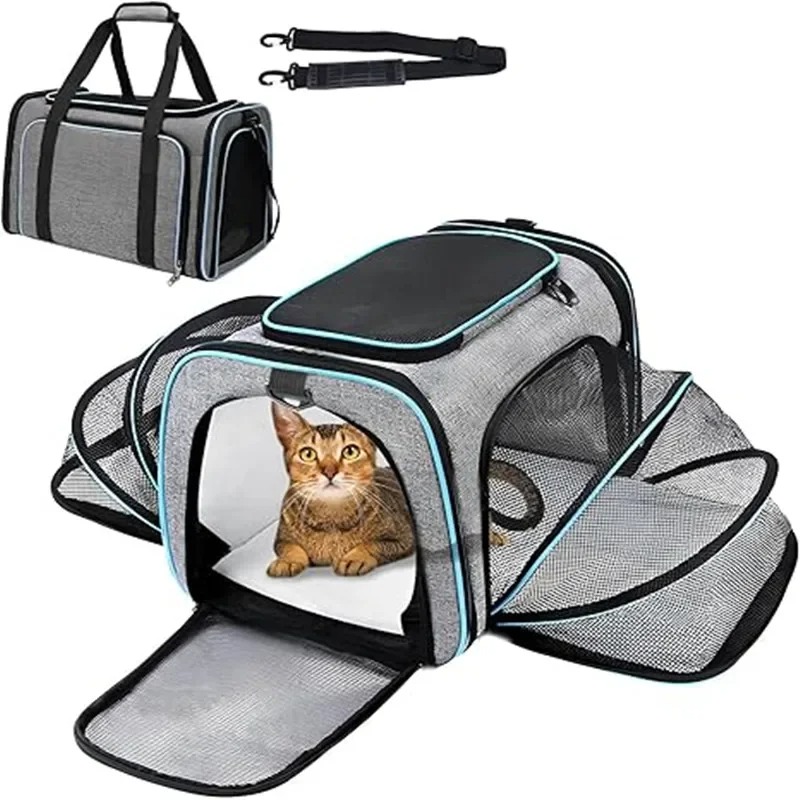 Portable Breathable Foldable P - Foldable Backpack Small ulasan dan harga