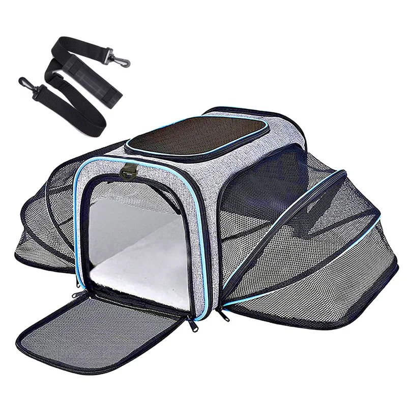 Portable Breathable Foldable P - Foldable Backpack Small ulasan dan harga
